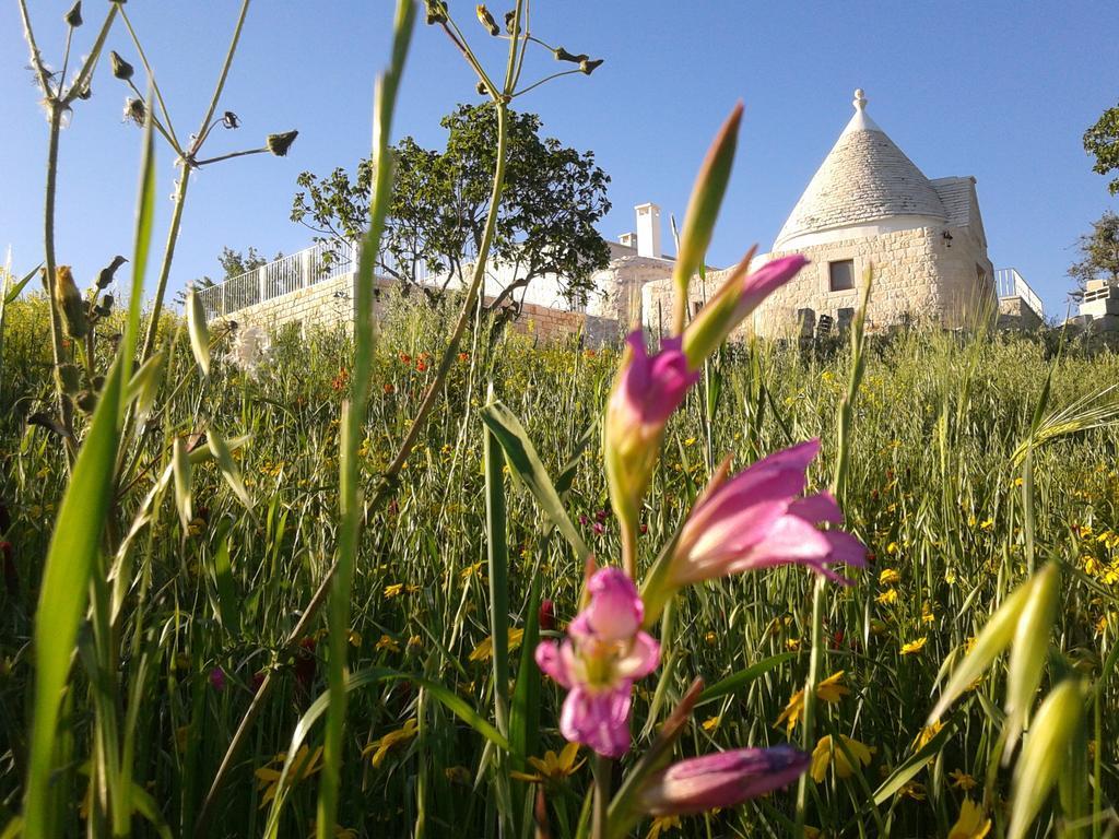 Cappelluzzo Villa Cisternino Eksteriør bilde